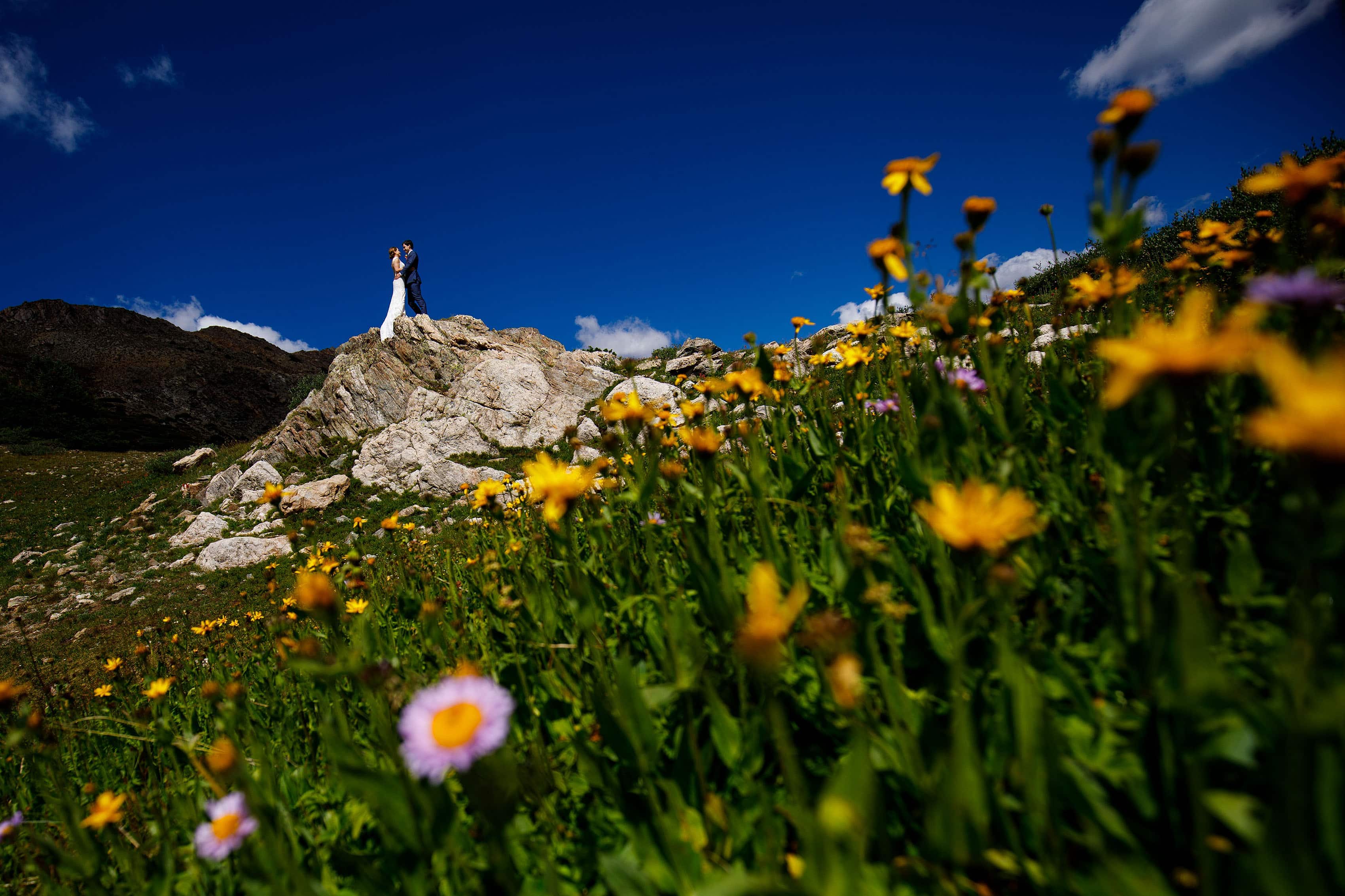 Wildflowers in full bloom as the bride and groom stand on a rock on Loveland Pass