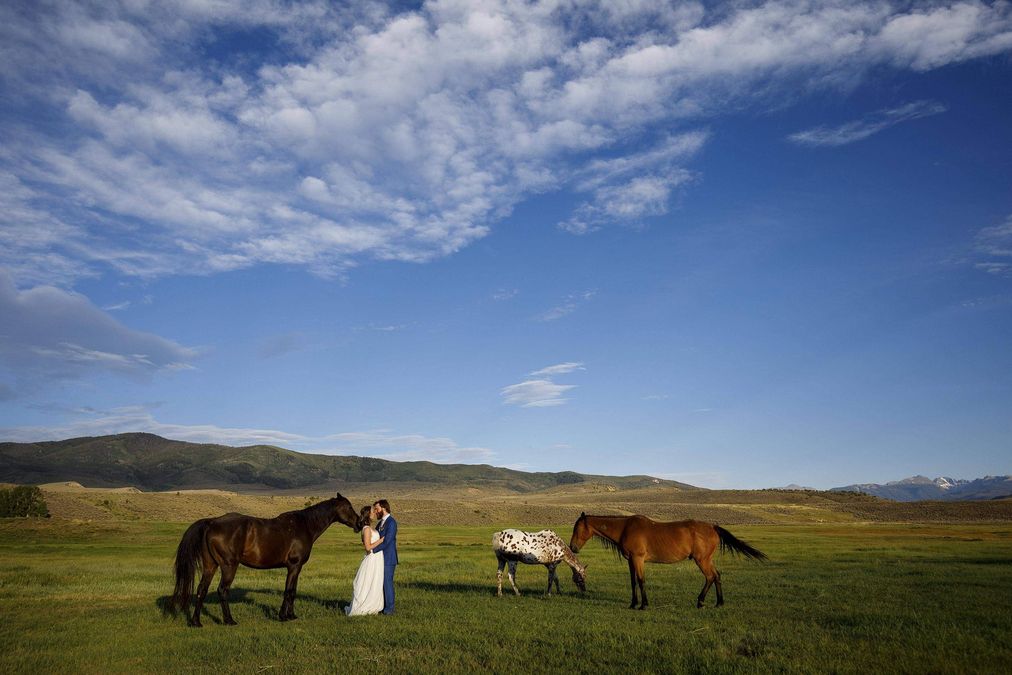 A group of wild horses graze as the newlyweds share a moment together in a field on a summer evening at 4 Eagle Ranch in Wolcott, CO