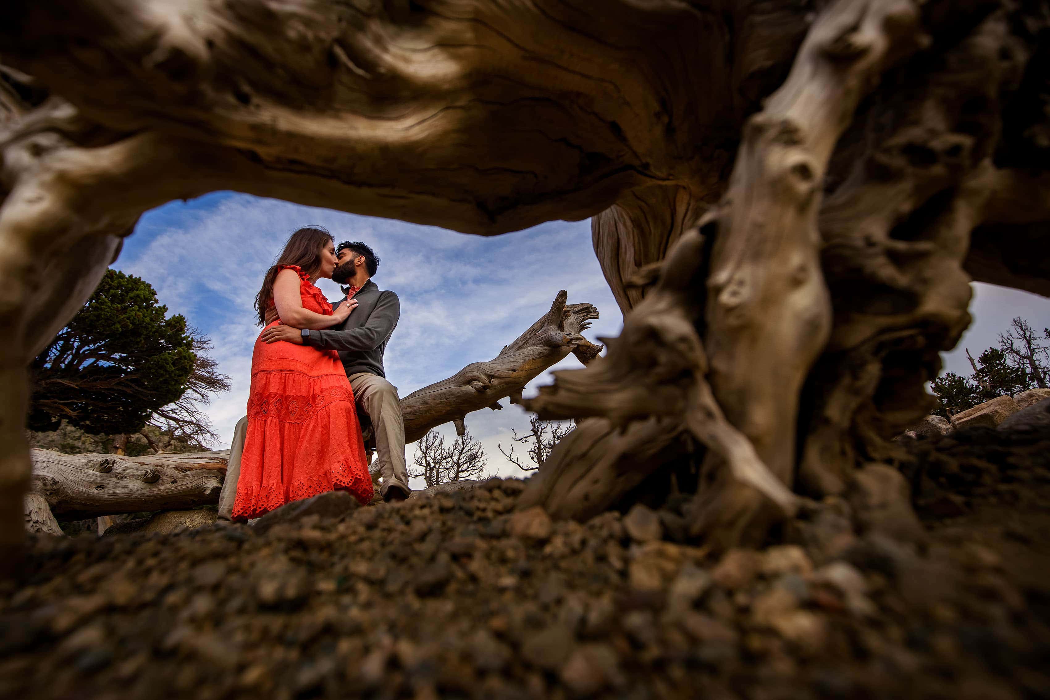 A couple is framed in driftwood at St. Mary's Glacier during their Idaho Springs engagement session